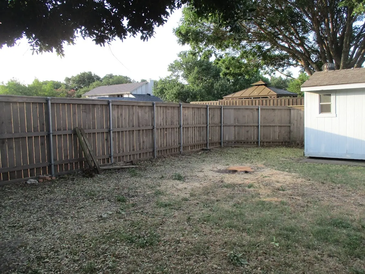 Cleared yard after professional tree removal in Medicine Park