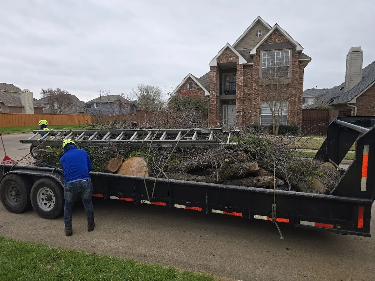 Expert Tree Fertilization with proper safety equipment in Medicine Park